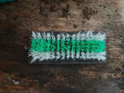 Washing brush Foto stock