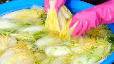 Washing cabbage making kimchi 库存影片 162632530