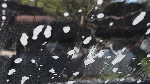 Washing a car with a foam device led from inside the vehicle. Stock Footage 195412950