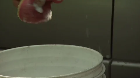 Washing Car Stock Footage 123933652