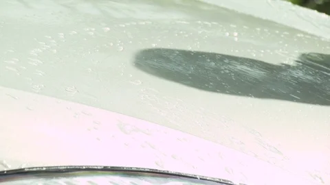 Washing Car Stock Footage 123933704