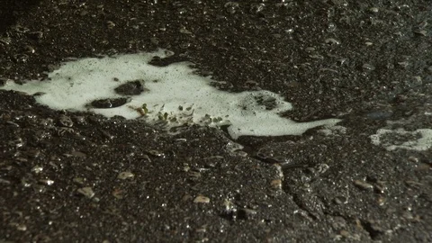 Washing Car Stock Footage 123933775