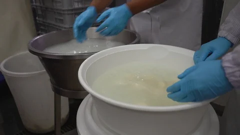 Washing cheeses in the process of making cheese in factory Stock Footage 129928125