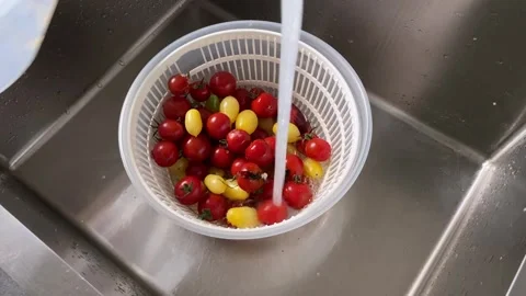 Washing cherry tomatoes carefully Stock Footage 342335579