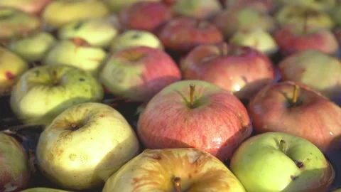 Washing cider apples inside distillery. Fresh Fruits And Vegetables floating in Stock Footage 167607838