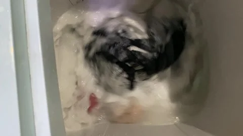 Washing clothes process inside top load washing machine Stock Footage 307110838