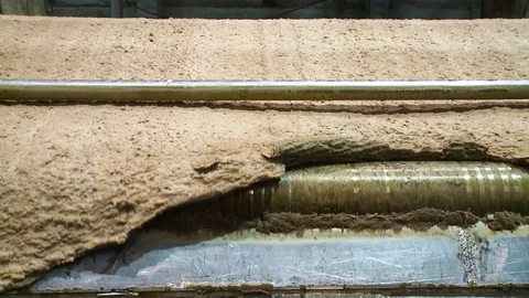 Washing of coniferous pulp Video stock 105170880