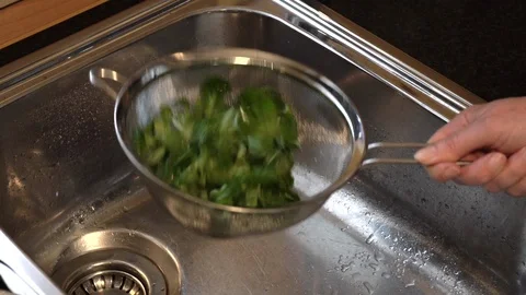 Washing corn salad in a sieve Stock Footage 125556435