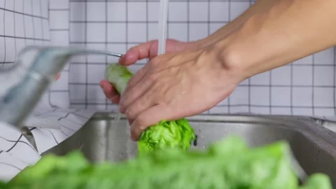 Washing crisp lettuce stem with tap water 動画素材 341836412