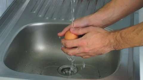 Washing egg Stock Footage 97739314