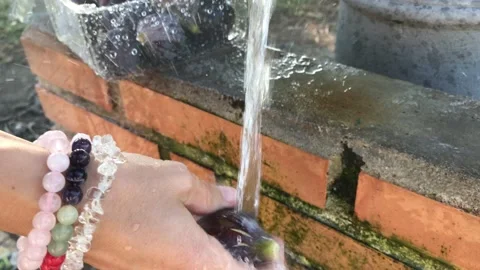 Washing fig fruit in hand under flowing water. Figs are healthy and tasty fruits Video stock 132872110