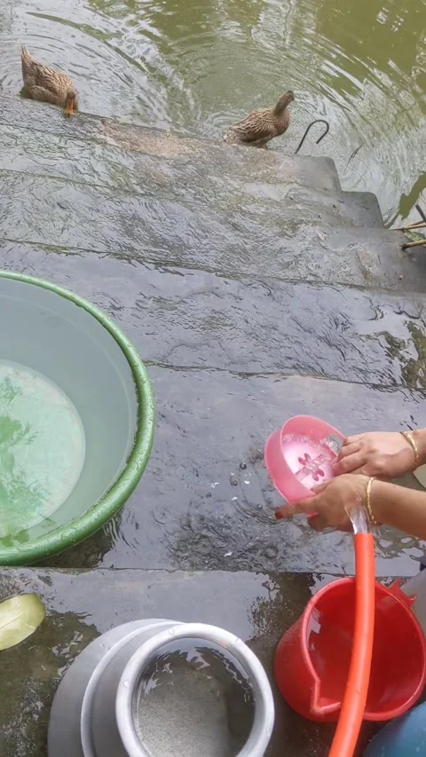 Washing 库存影片 184059409