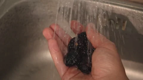 Washing fresh blackberries under a stream of tap water Stock Footage 312708378