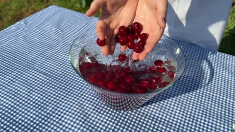 Washing Fresh Cherries Stock Footage 313866574