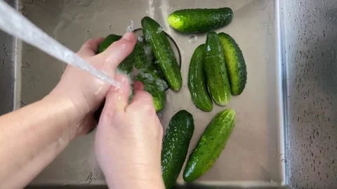 Washing Fresh Cucumbers Under Running Water Vídeo Stock 343864946