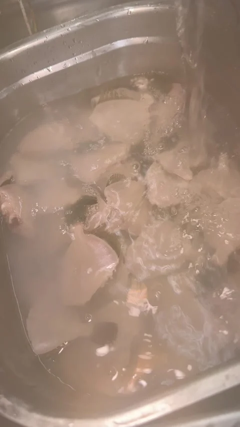 Washing Fresh Filefish Pieces in Cold Water, Izakaya Kitchen Japan, Vertical 4K Stock Footage 344911924