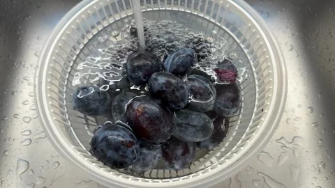 Washing Fresh Grapes Stock Footage 319445956