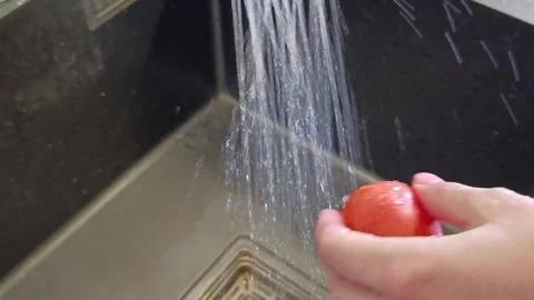 Washing fresh harvested vegetables Stock Footage 344878404