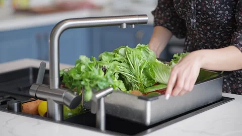 Washing fresh herbs in a kitchen sink Stock Footage 336466229