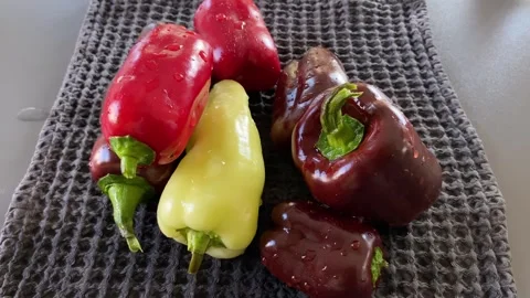 Washing Fresh Peppers in Kitchen Vídeos de archivo 343864925