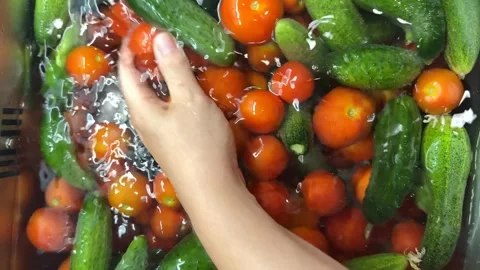 Washing Fresh Produce Stock Footage 313866631