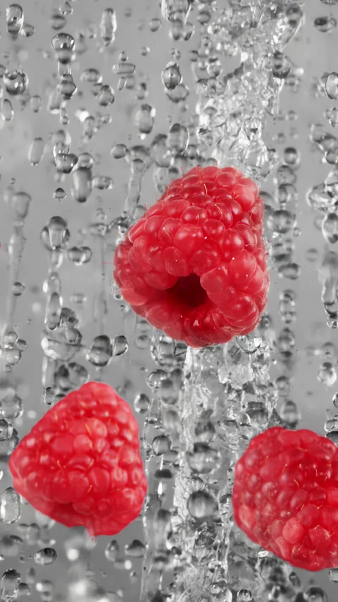 Washing fresh raspberries splashed by clean water falling down Stock Footage 255678091