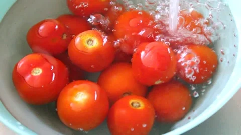 Washing fresh tomatoes Stock Footage 136031535