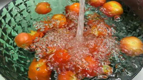 Washing Fresh Tomatoes Stock Footage 313363511