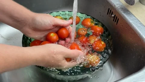 Washing Fresh Tomatoes Stock Footage 313363520