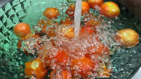 Washing Fresh Tomatoes Stock Footage 313363732