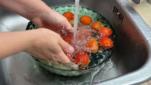 Washing Fresh Tomatoes Stock Footage 313364194