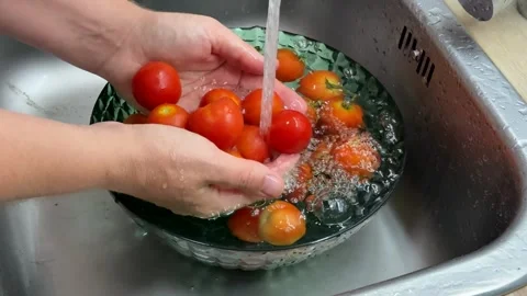 Washing Fresh Tomatoes Stock Footage 313364212