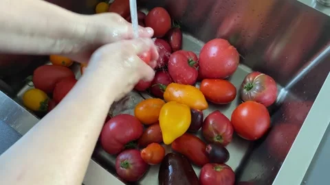 Washing Fresh Vegetables in Kitchen Sink Stockbeeldmateriaal 343864840