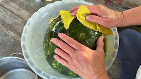 Washing fresh watermelon with cloth in rustic basin, caring hands cleaning Stock Footage 345183215