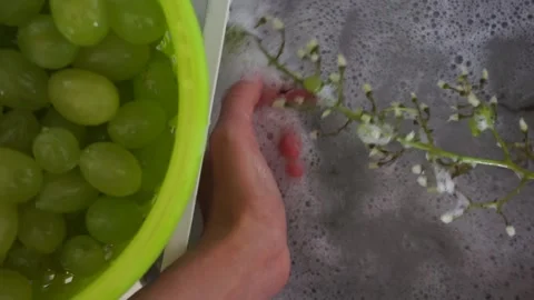 Washing grapes Stock Footage 136472243