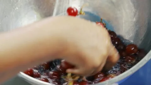Washing grapes Stock Footage 194313792