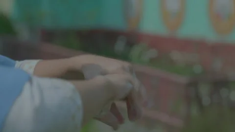 Washing hand with shope Stock Footage 254777635
