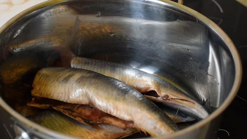 Washing herring in a pan Video stock 121099739