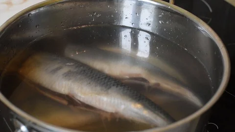 Washing herring in a pan Stock Footage 121100058