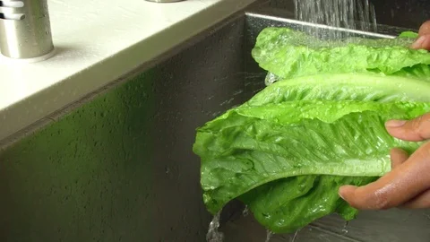 Washing Lettuce in Slow Motion Stock-Footage 75876944