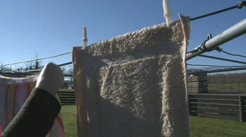 Washing onto line 2 Stock Footage 777867