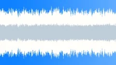 Washing Machine 01 - Washing Loop 01 Sound Effect