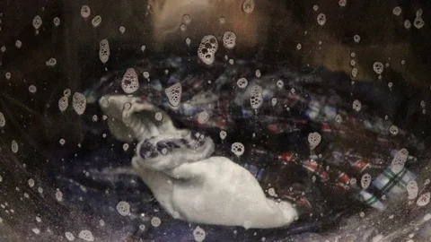 Washing machine close-up Video stock 93638432