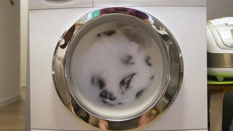 The washing machine does the Laundry. Close-up of the drum spinning. 動画素材 220018835