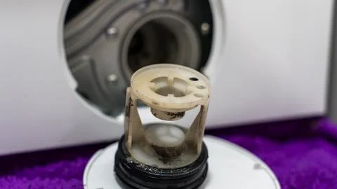 Washing Machine Drum and Filter Cleaning During Maintenance Stock-Fotos