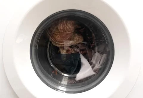 The washing machine is filled Stock-Fotos