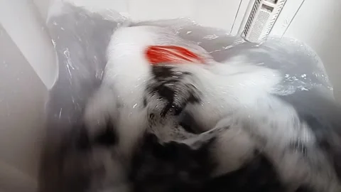 Washing Machine Stock Footage 217678172