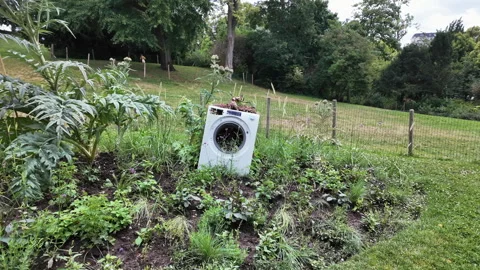 A washing machine in nature creates a surreal contrast of tech and the outdoors Stock Footage 314108608