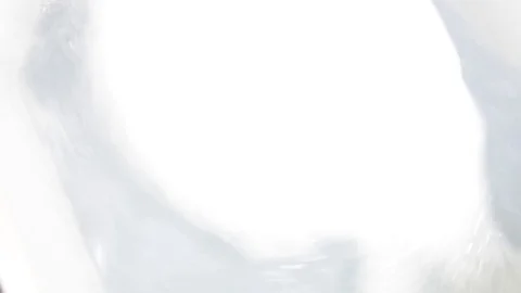 Washing machine running Stock Footage 77596312