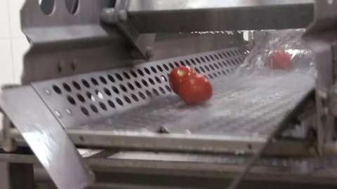 Washing machine for vegetables Vídeo Stock 81017119